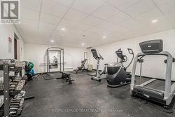 Gym - 