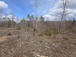 Lot 25-1 Upper Branch Road Midville Branch, NS B4V 4T1