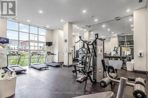 #710 - 125 Western Battery Road, Toronto, ON - Indoor Photo Showing Gym Room