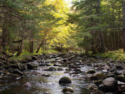 Lot 1 Power Lot Road Guinea, NS B0S 1E0