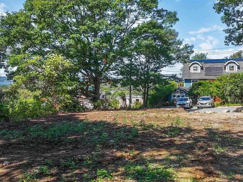 6 Springhill Road, Dartmouth, NS 