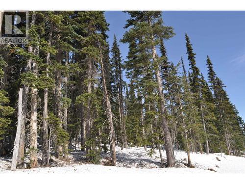 Pt. St 4 Alpine Way, Smithers, BC 
