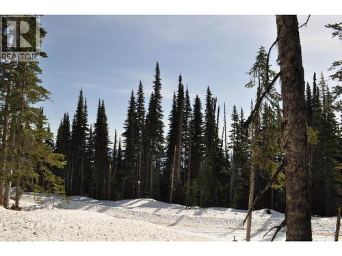 Pt. St 4 Alpine Way, Smithers, BC 