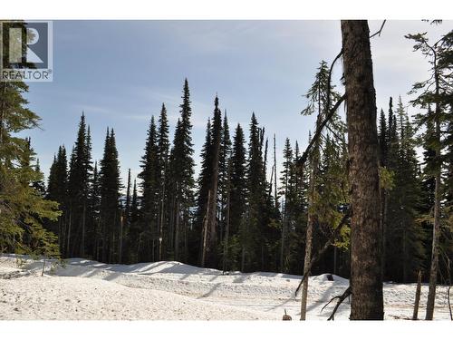 Pt. St 4 Alpine Way, Smithers, BC 