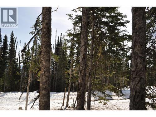 Pt. St 4 Alpine Way, Smithers, BC 