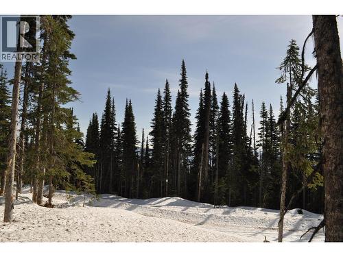 Pt. St 4 Alpine Way, Smithers, BC 