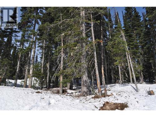 Pt. St 4 Alpine Way, Smithers, BC 