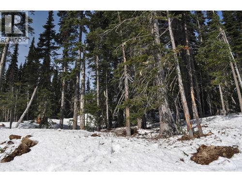 Pt. St 4 Alpine Way, Smithers, BC 