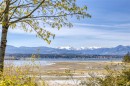 1259 Docliddle Rd, Comox, BC 