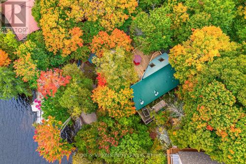 139 Manitou Drive, Mckellar, ON - Outdoor