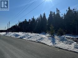 329 Old Pennywell Road St. John's, NL A1B 1A8