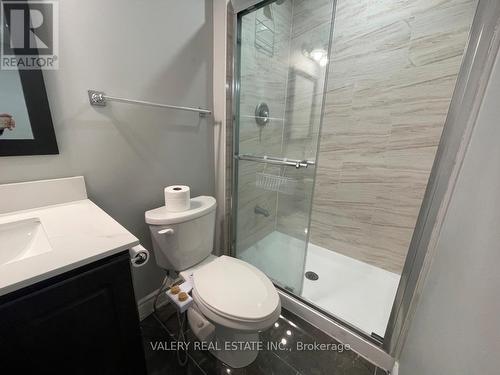 Lower - 13 Frampton Road, Brampton, ON - Indoor Photo Showing Bathroom