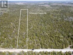 LT 12 CON 2 WBR LINDSAY Northern Bruce Peninsula, ON N0H 1W0