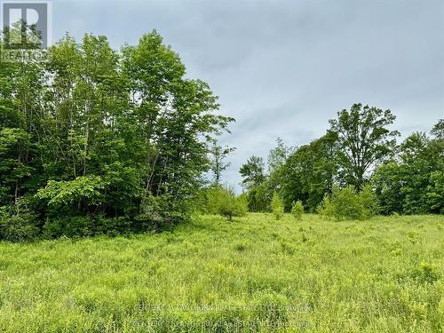 00 Cooper Road, Madoc, ON 