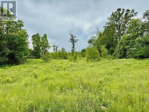 00 Cooper Road, Madoc, ON 