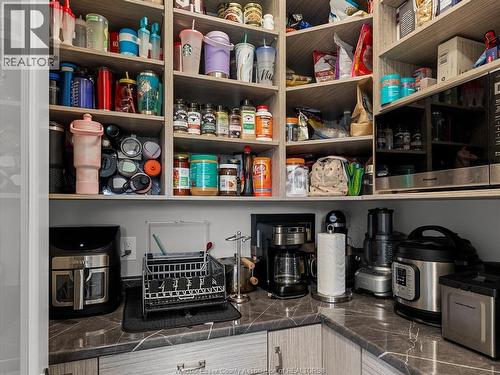 65 Augustus, Lasalle, ON - Indoor With Storage