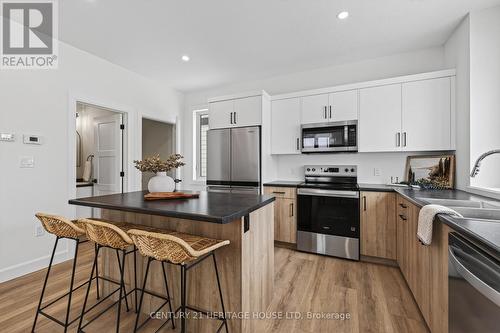 51177 Ron Mcneil Line E, Malahide (Springfield), ON - Indoor Photo Showing Kitchen