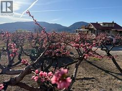 235 Middle Bench Road N  Penticton, BC V2A 8S5