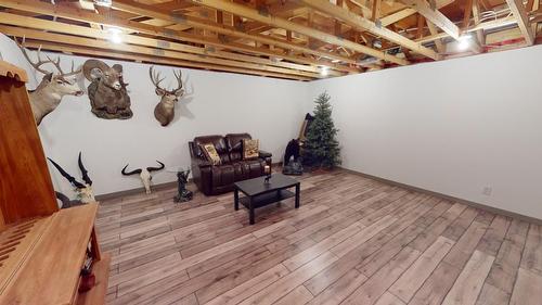 6006 Wolf Creek Road, Wasa, BC - Indoor Photo Showing Basement