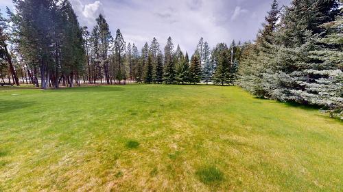 6006 Wolf Creek Road, Wasa, BC - Outdoor
