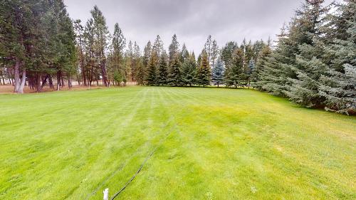6006 Wolf Creek Road, Wasa, BC - Outdoor