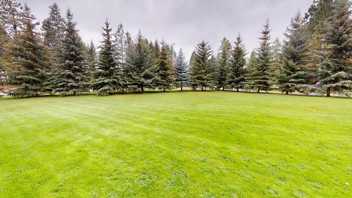 6006 Wolf Creek Road, Wasa, BC - Outdoor