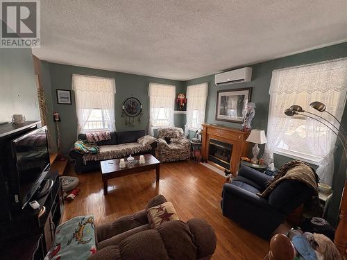 4 Sweetapple Lane, South Branch, NL - Indoor Photo Showing Living Room With Fireplace