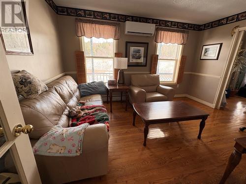 4 Sweetapple Lane, South Branch, NL - Indoor Photo Showing Living Room