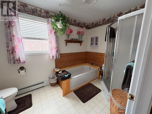 4 Sweetapple Lane, South Branch, NL - Indoor Photo Showing Bathroom
