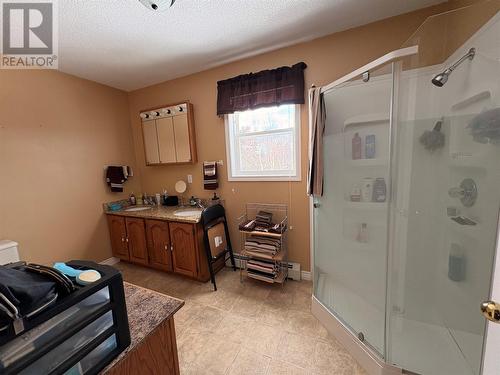 4 Sweetapple Lane, South Branch, NL - Indoor Photo Showing Bathroom