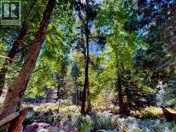 1394 VANCOUVER BLVD Savary Island, BC None