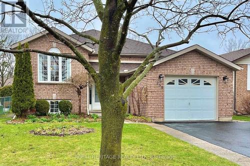 258 FRANMOR DRIVE  Peterborough, ON K9H 7M3
