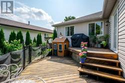 PLAY AREA - 