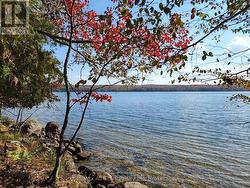 504 BIGWIN ISLAND Lake Of Bays (Franklin), ON P0A 1H0