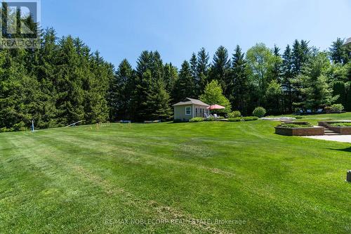793073 3Rd Line, Mono, ON - Outdoor With In Ground Pool