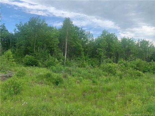 Land Route 3, Dewolfe, NB 