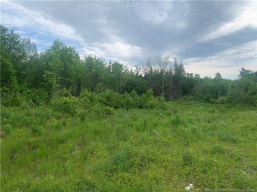 Land Route 3, Dewolfe, NB 