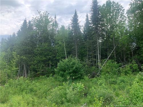 Land Route 3, Dewolfe, NB 