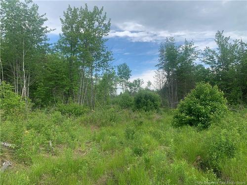 Land Route 3, Dewolfe, NB 