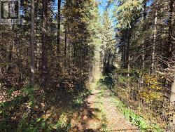 627383 15 SIDE ROAD Mulmur, ON L0N 1M0