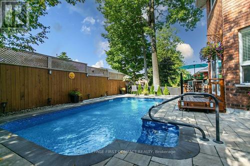13 Irwin Drive, Barrie, ON - Outdoor With In Ground Pool
