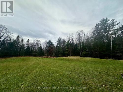 Tons of Open Space - 112 510 Highway, Magnetawan, ON - Outdoor