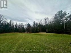 Tons of Open Space - 
