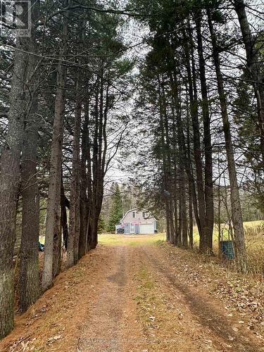 View From Road with Tree Lined Driveway - 112 510 Highway, Magnetawan, ON - Outdoor