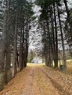 View From Road with Tree Lined Driveway - 
