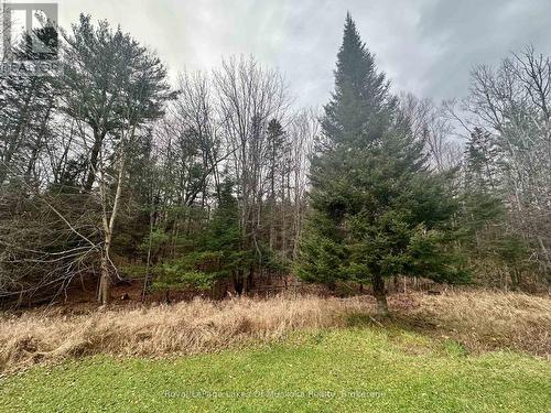 112 510 Highway, Magnetawan, ON - Outdoor With View