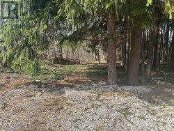 PTLT9-10 MCNAUGHTON STREET South Bruce Peninsula, ON N0H 2T0