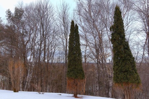 Cour - 200 Rg Des Grès, Saint-Étienne-Des-Grès, QC - Outdoor