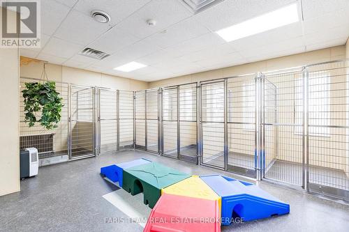 301 Concession 4 Road E, Tiny, ON 