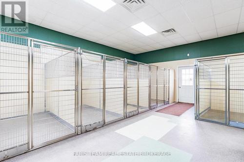 301 Concession 4 Road E, Tiny, ON 